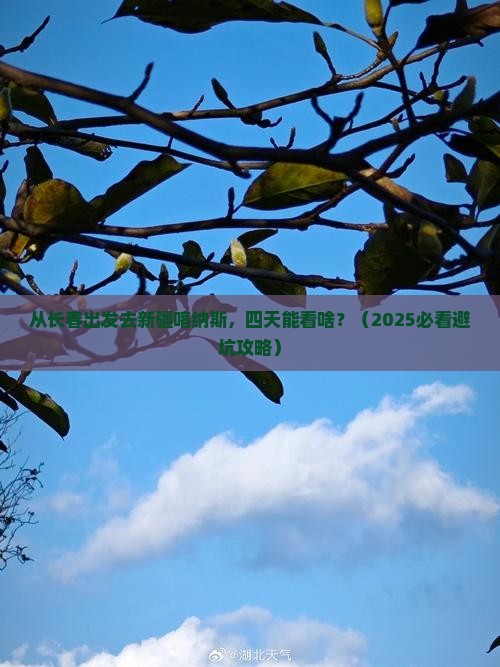 长春去新疆喀纳斯四日游