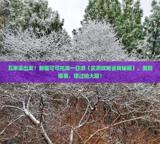 五家渠去新疆可可托海一日