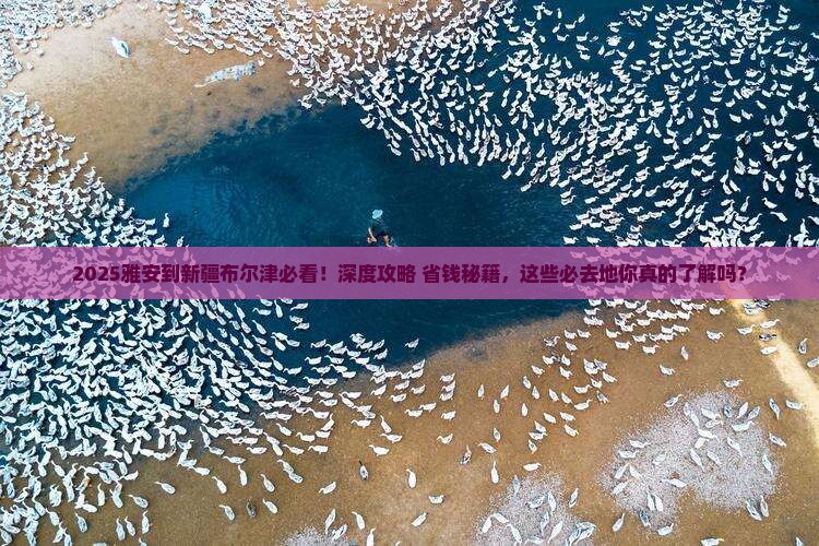 雅安到新疆布尔津必去地