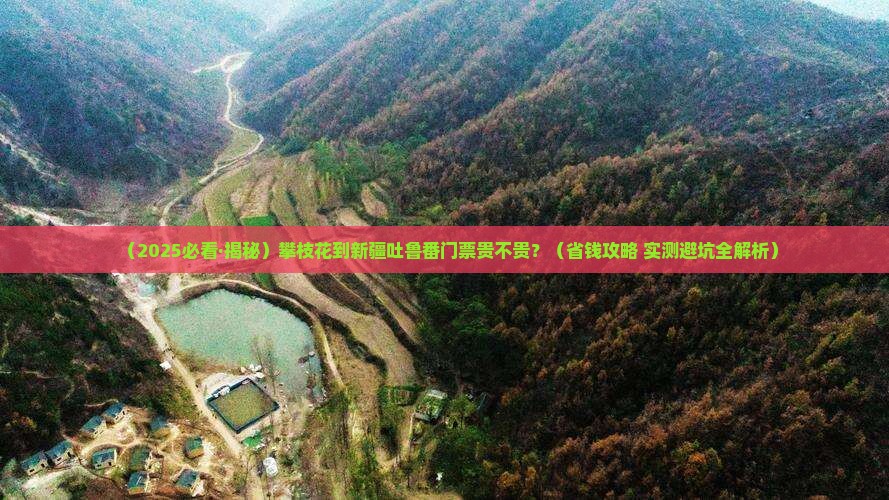 攀枝花到新疆吐鲁番门票