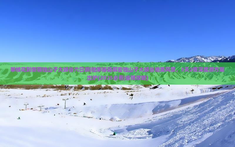 攀枝花到新疆独山子大峡谷六日游