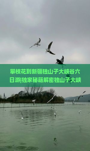攀枝花到新疆独山子大峡谷六日游