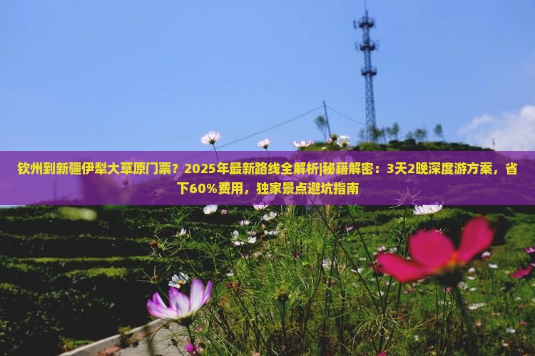 钦州到新疆伊犁大草原门票 钦州到新疆伊犁大草原门票