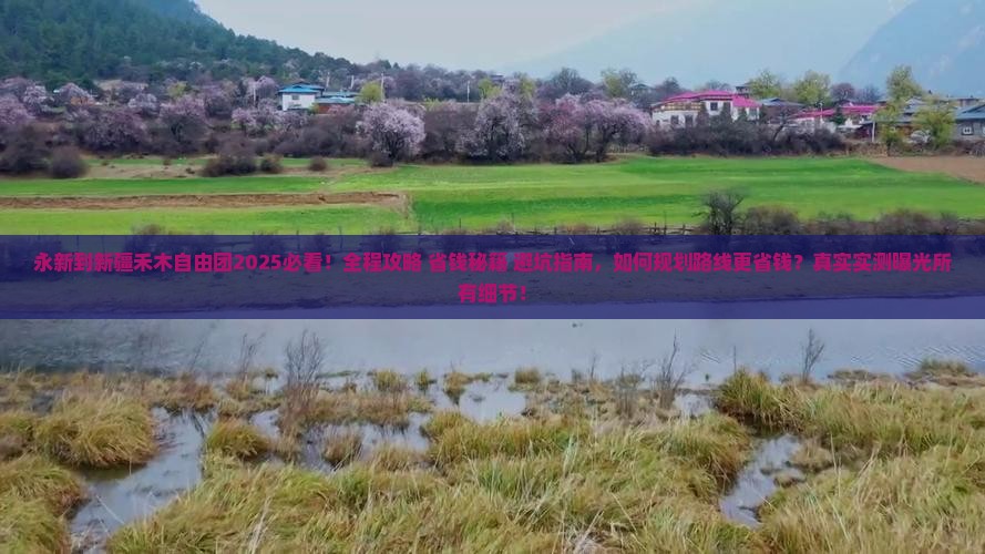 永新到新疆禾木自由团