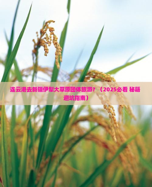 连云港去新疆伊犁大草原团体旅游