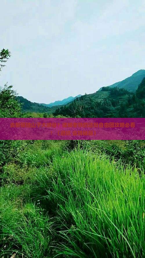 诸城去新疆独山子大峡谷自由团