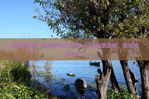六盘水到新疆伊犁大草原一日
