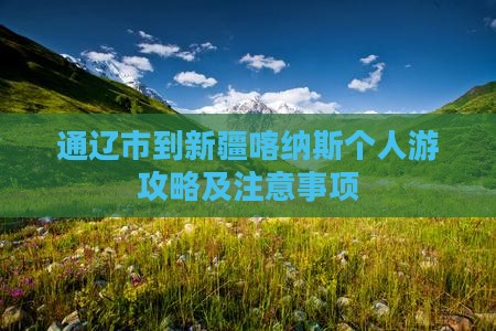 通辽市到新疆喀纳斯个人游
