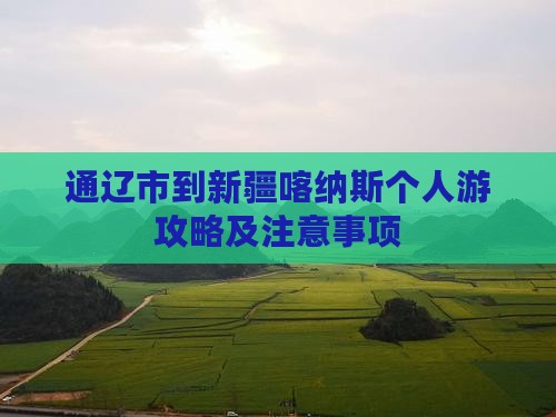 通辽市到新疆喀纳斯个人游