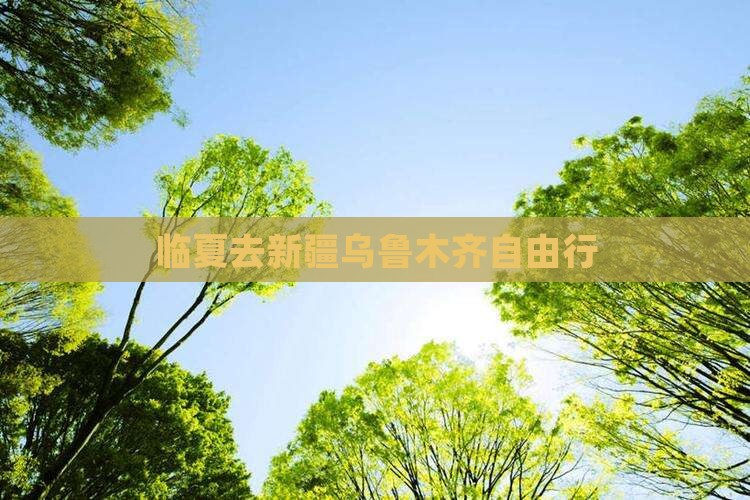 临夏去新疆乌鲁木齐自由行