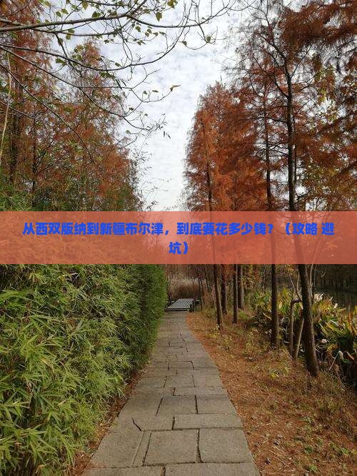 西双版纳去新疆布尔津门票