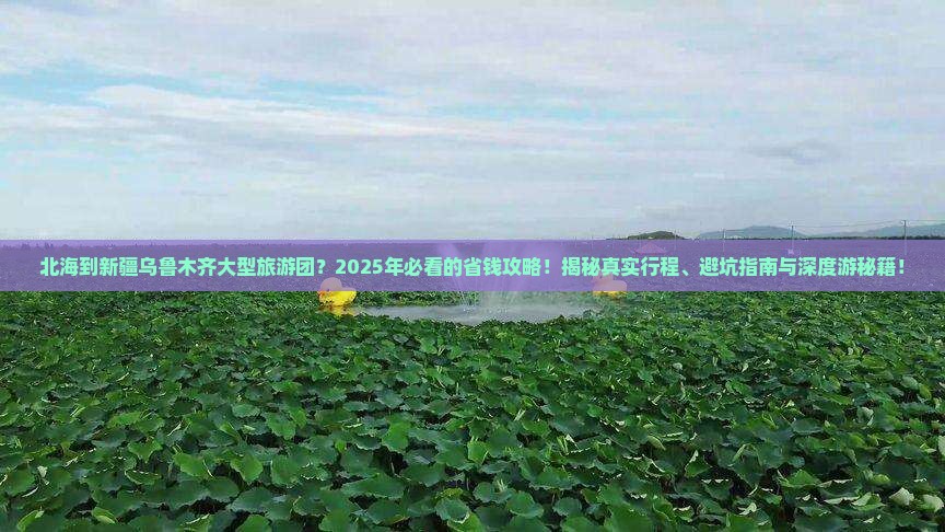 北海到新疆乌鲁木齐大型旅游团