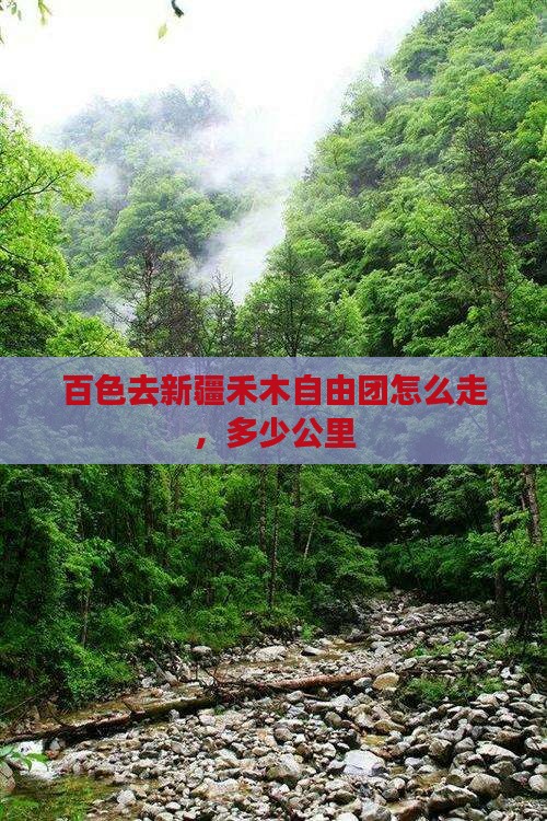 百色去新疆禾木自由团