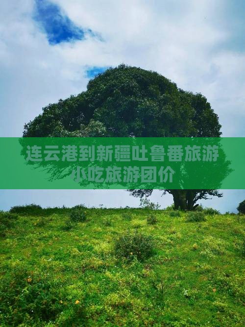 连云港到新疆吐鲁番旅游小吃