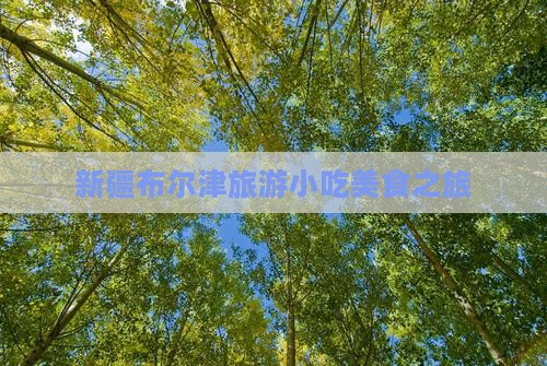 佳木斯到新疆布尔津旅游小吃