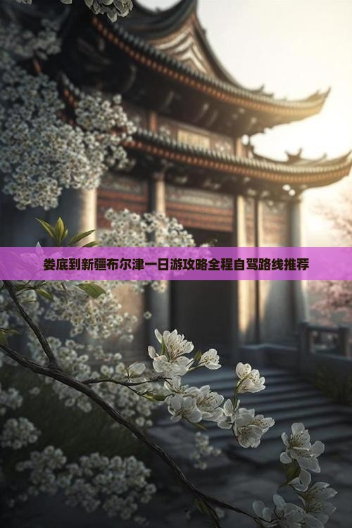 娄底到新疆布尔津一日