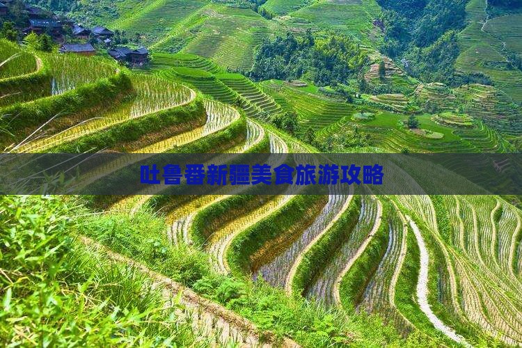 廊坊去新疆吐鲁番旅游小吃