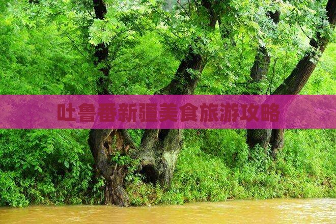 廊坊去新疆吐鲁番旅游小吃