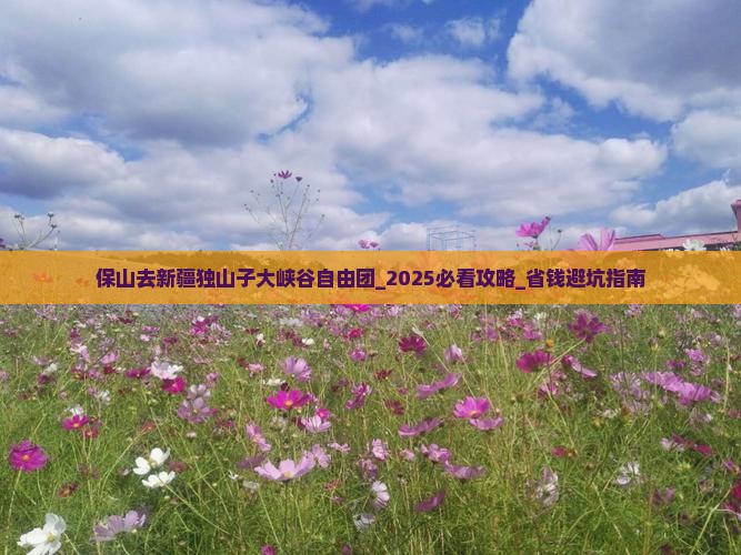 保山去新疆独山子大峡谷自由团