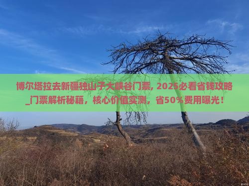 博尔塔拉去新疆独山子大峡谷门票