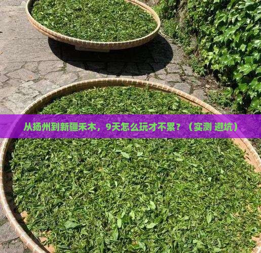 扬州到新疆禾木自由行