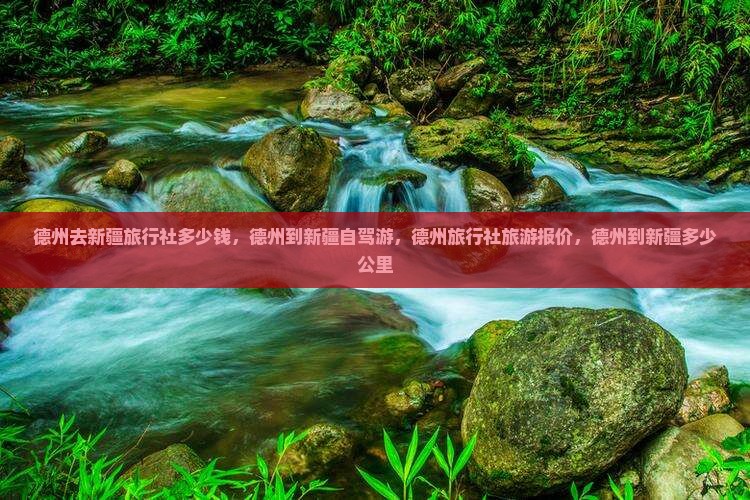 德州去新疆旅行社