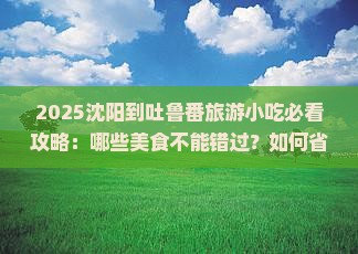 沈阳到新疆吐鲁番旅游小吃