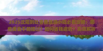沈阳到新疆吐鲁番旅游小吃