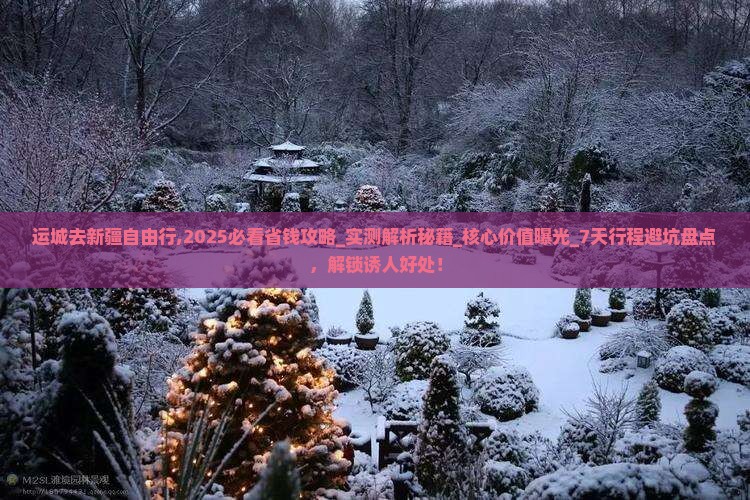 运城去新疆自由行
