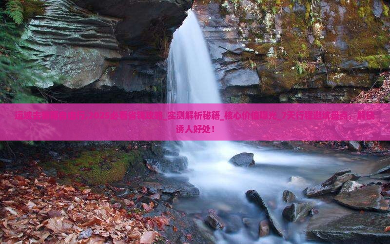 运城去新疆自由行