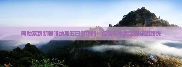 阿勒泰到新疆喀纳斯五日游