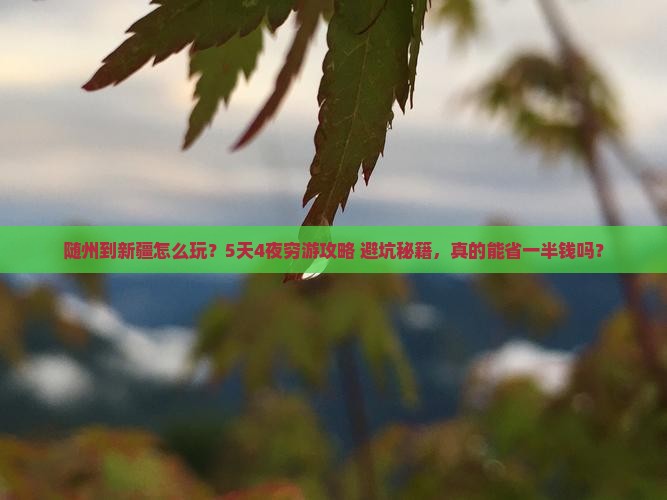 随州到新疆攻略