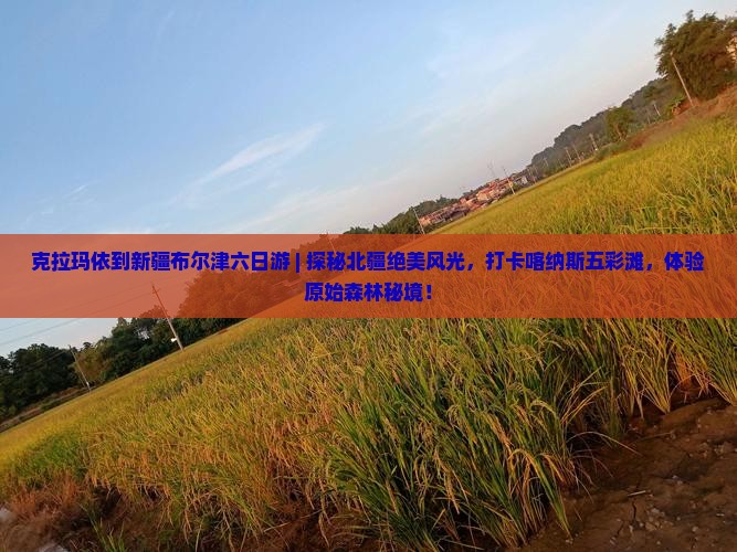 克拉玛依到新疆布尔津六日游