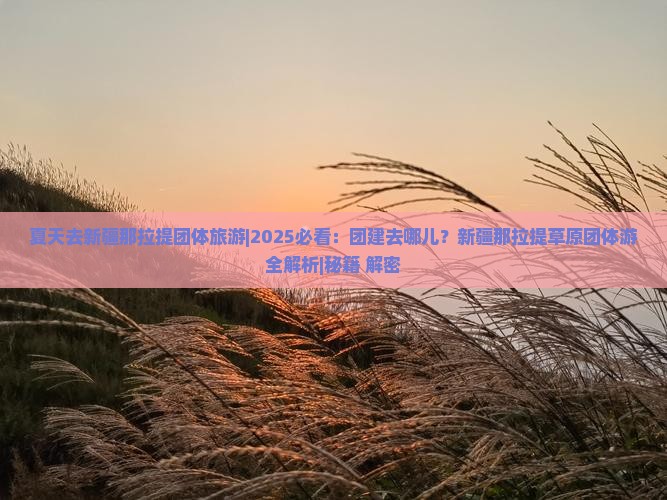 夏天去新疆那拉提团体旅游