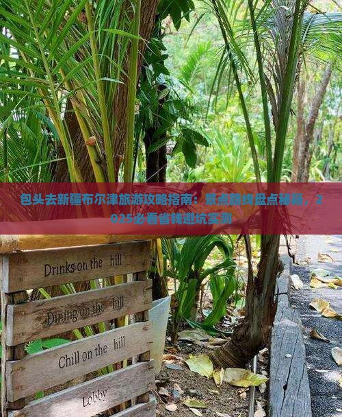 包头去新疆布尔津旅游