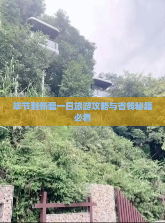 毕节到新疆一日