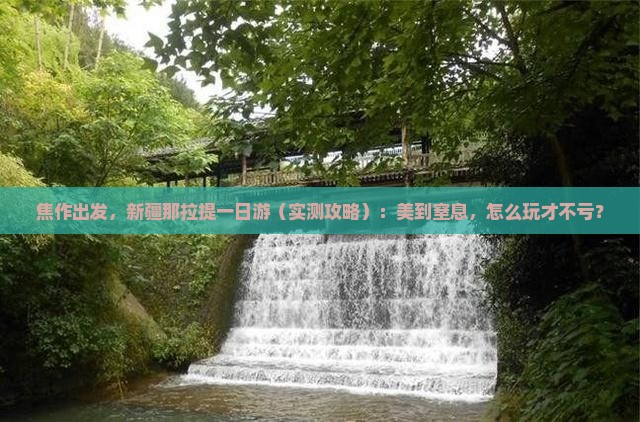 焦作到新疆那拉提一日