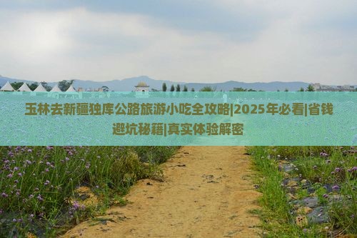 玉林去新疆独库公路旅游小吃
