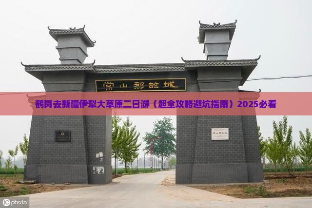 鹤岗去新疆伊犁大草原二日游