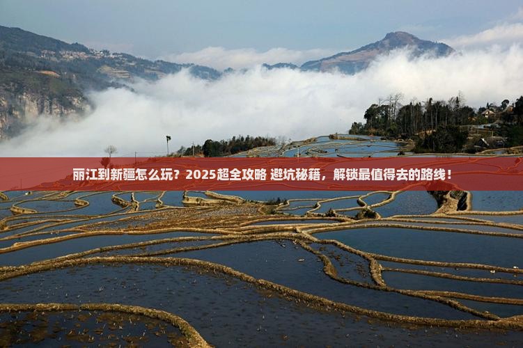 丽江到新疆旅行社