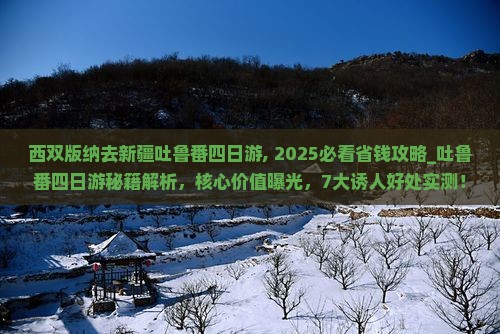 西双版纳去新疆吐鲁番四日游