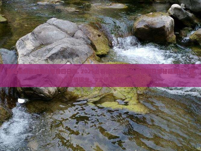 西双版纳去新疆吐鲁番四日游