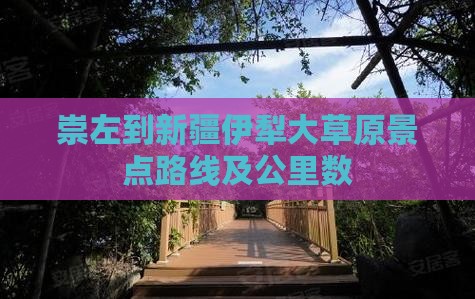 崇左到新疆伊犁大草原景点