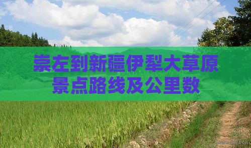 崇左到新疆伊犁大草原景点