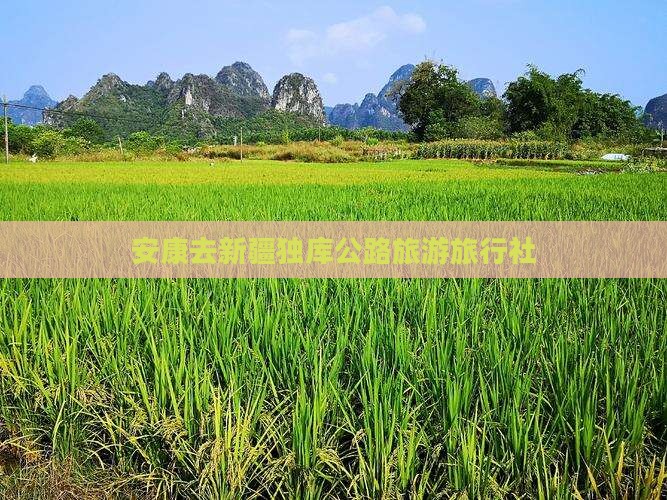 安康去新疆独库公路旅行社