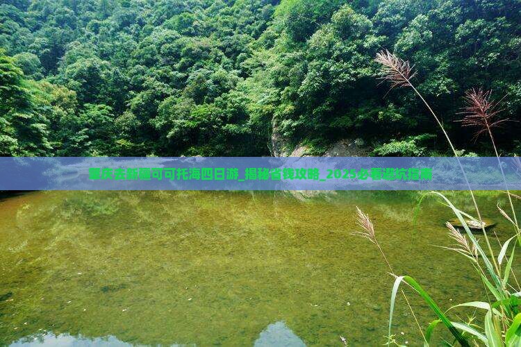 肇庆去新疆可可托海四日游
