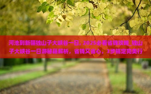 河池到新疆独山子大峡谷一日