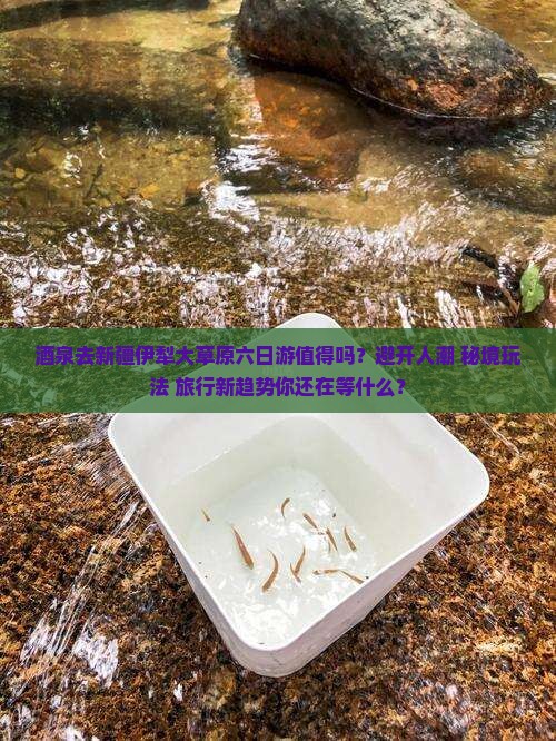 酒泉去新疆伊犁大草原六日游