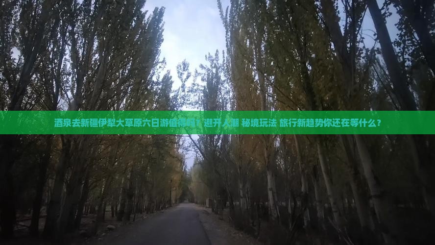 酒泉去新疆伊犁大草原六日游