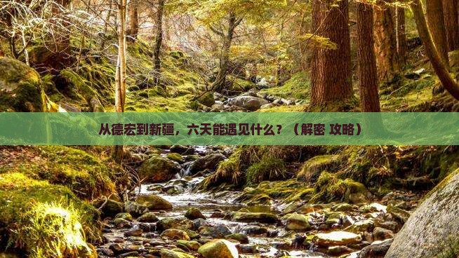 德宏到新疆六日游